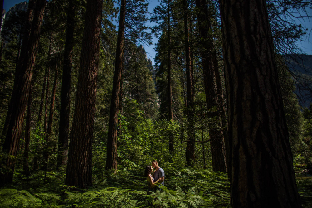 Portrait of a couple in the forest next to the Merced River in Yosemite Valley