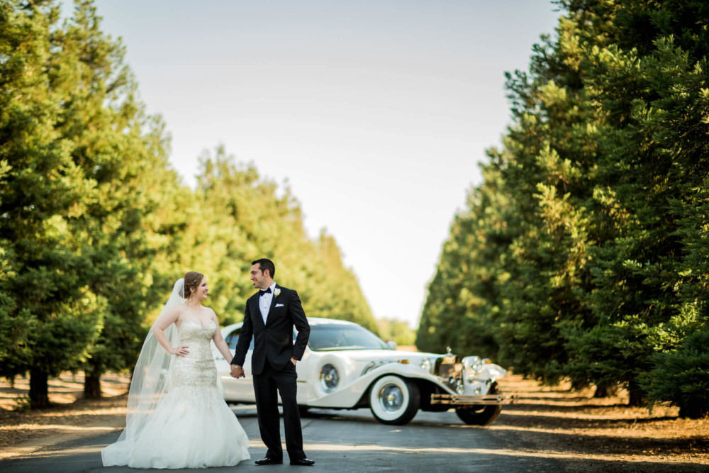 Portrait of a bride and groom in front of the Excalibur limo at Wolf Lakes Park in Sanger, CA