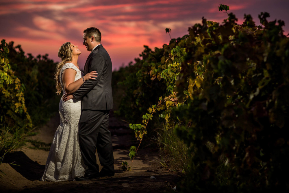 Sunset portrait of a wedding couple in a vineyardd