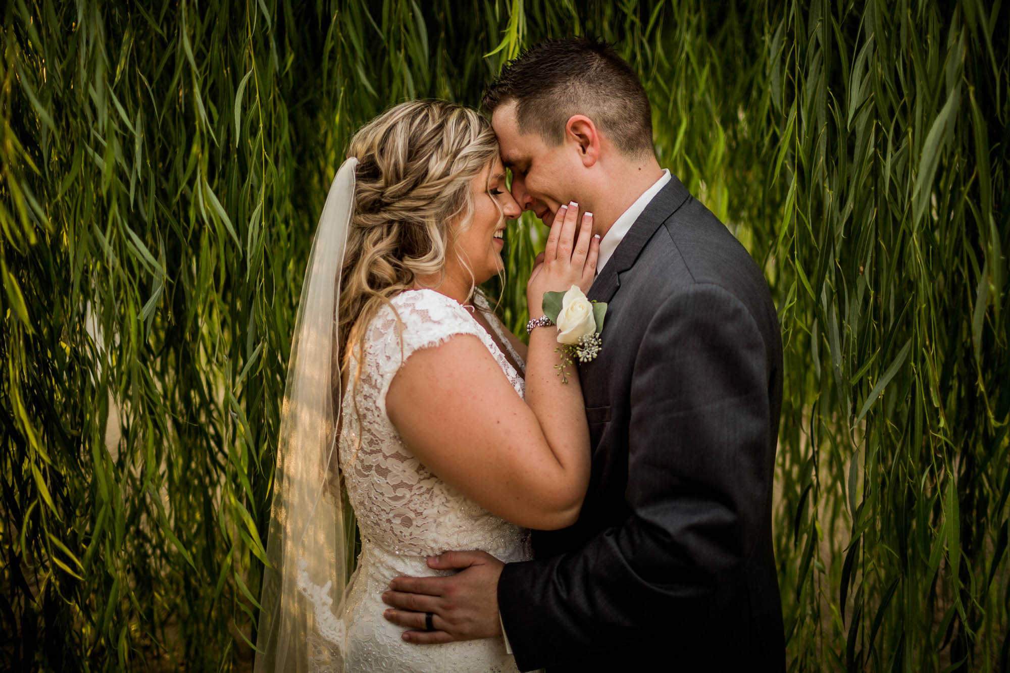 Portrait of the bride and groom in a willow tree