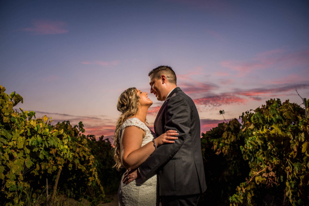 Dusk portrait of a bride and groom in a vineyard