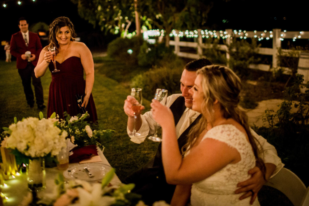 Maid of honor toasts the bride and groom during the reception
