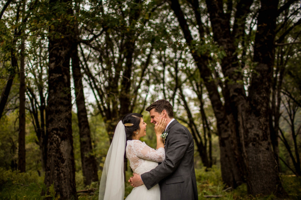 Portrait of the bride and groom among the oak trees