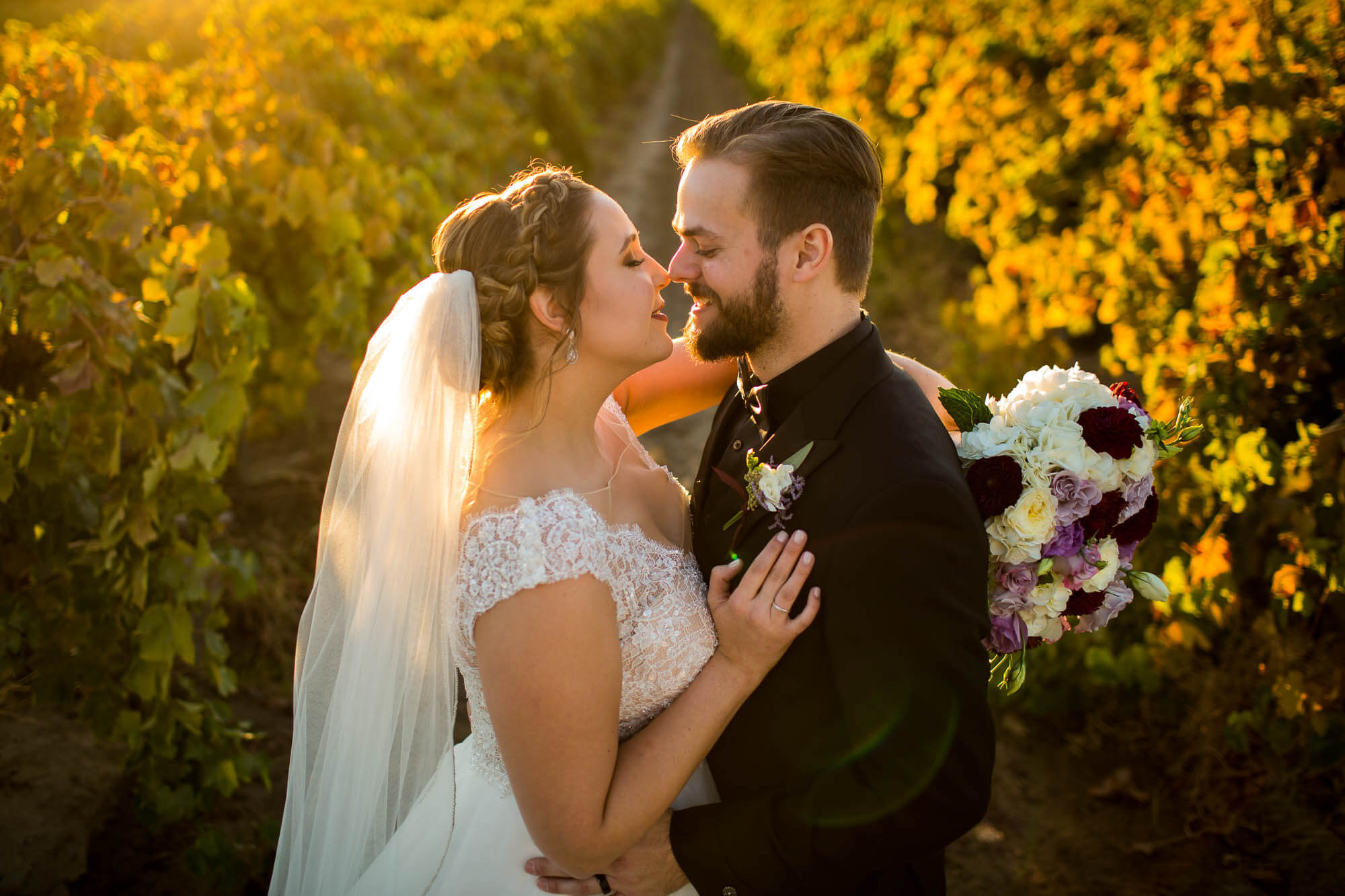 Portrait of the bride and groom in a vineyard at sunset