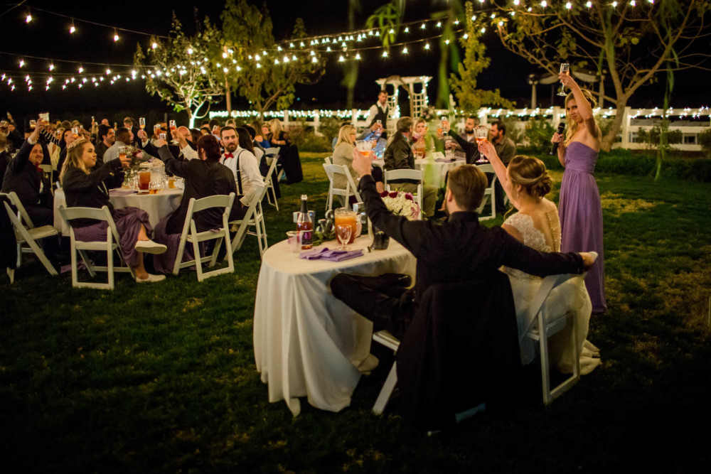 Everyone raises a glass during the toast at a wedding reception