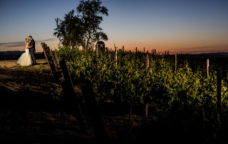 A portrait of a bride and groom in a vineyard at sunset