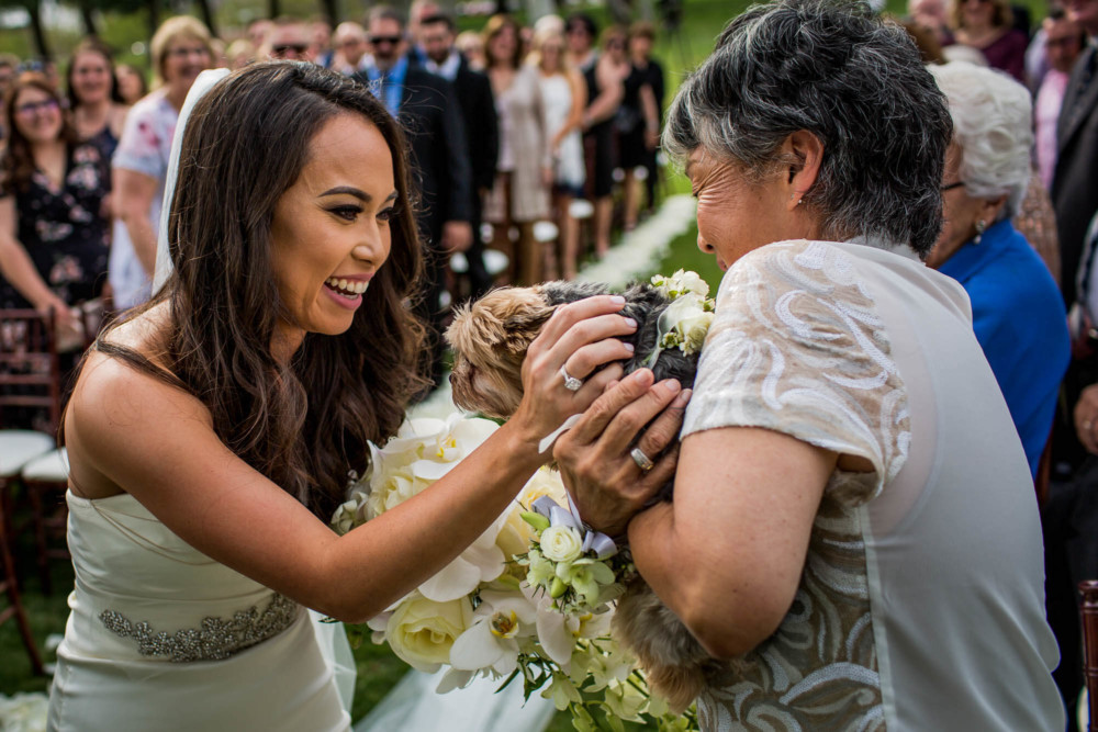 Bride pets a dog during the wedding processional