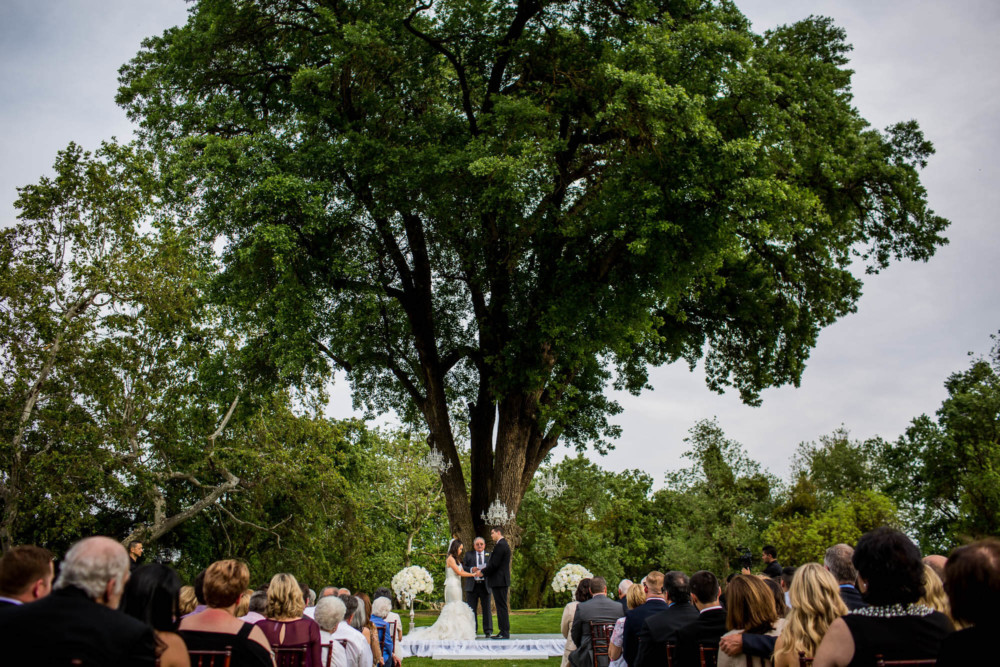 Bride and groom face each other during their wedding ceremony under a large tree