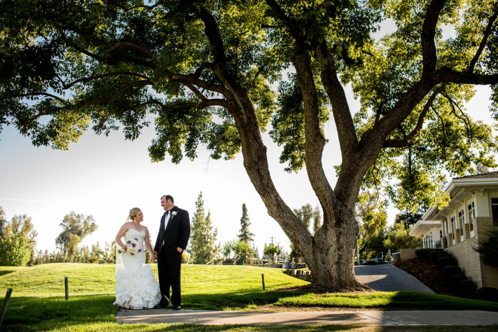 portrait of a bride and groom under a large tree