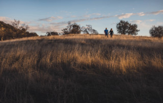 Couple walks through tall grass on a hillside lit by the setting sun
