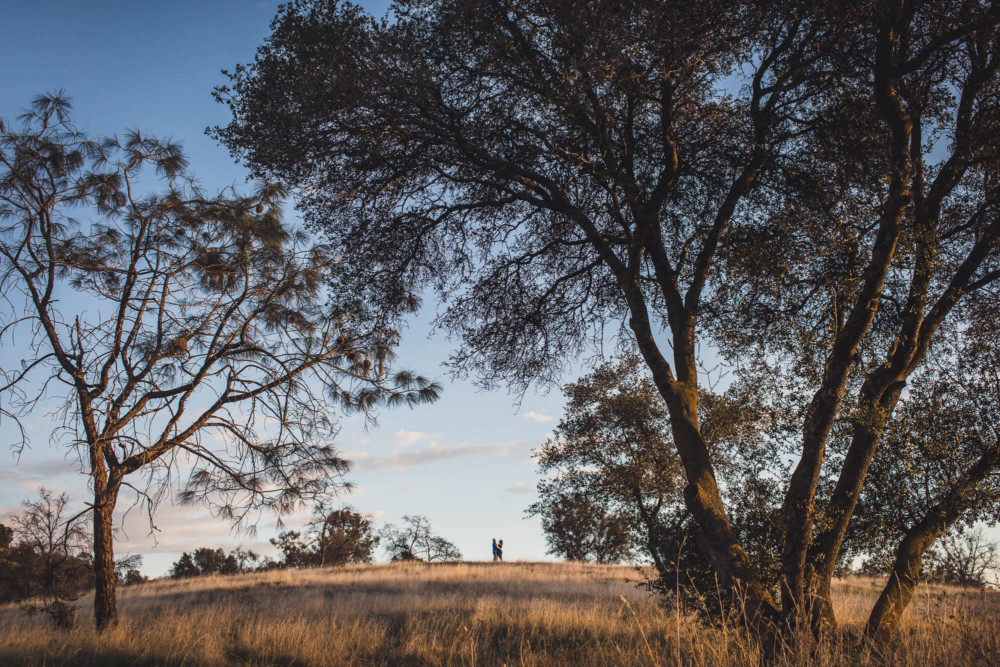Couple on a hilltop framed by large oak trees at sunset