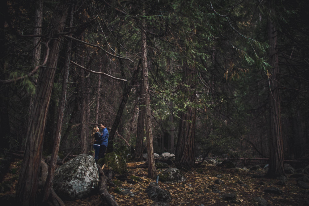 A couple embraces in the forest in Yosemite Valley