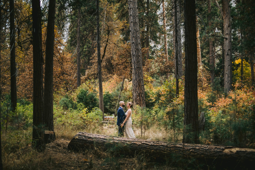 Bride and groom among the fall trees