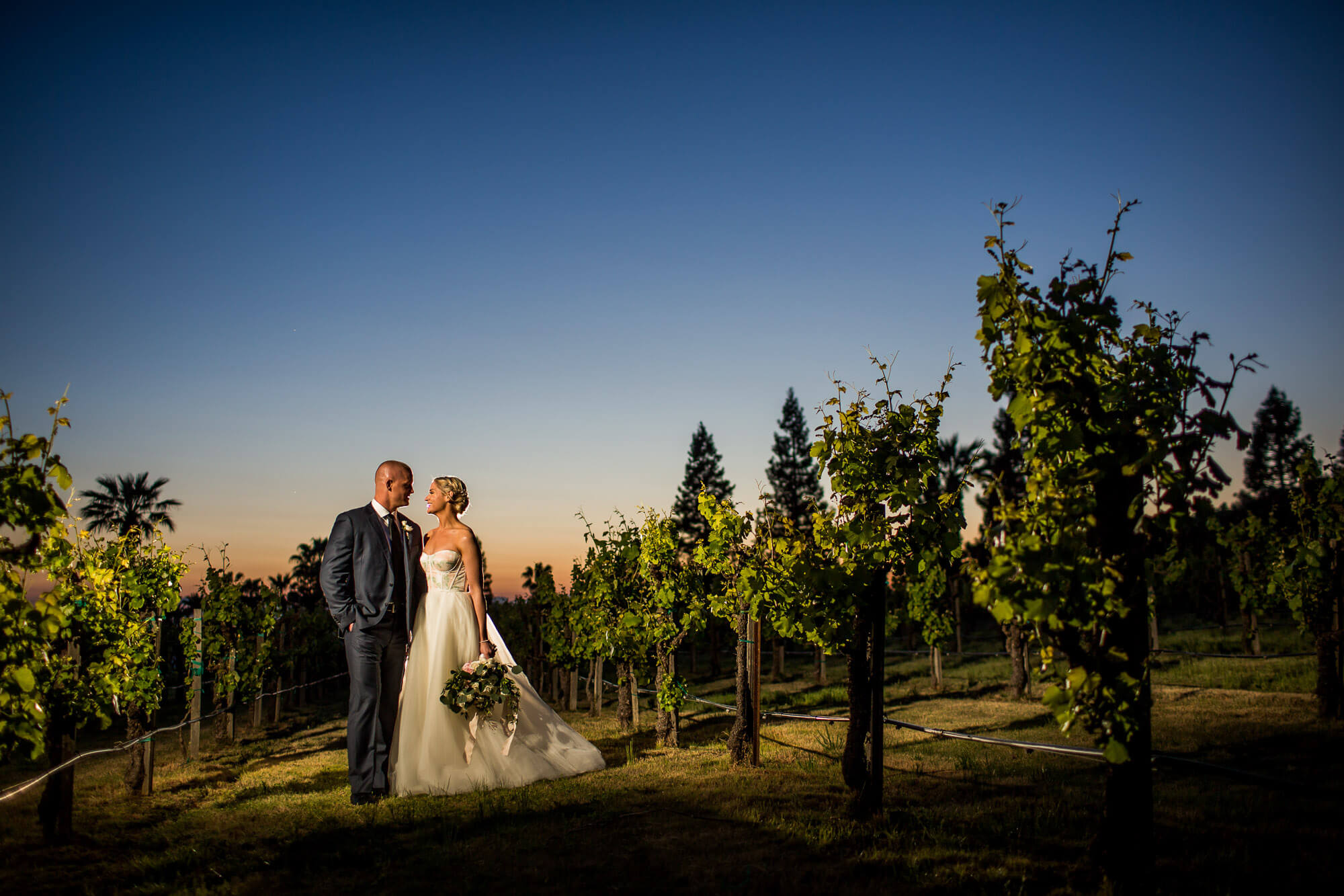 Dramatic portrait of the bride and groom at dusk in a vineyard