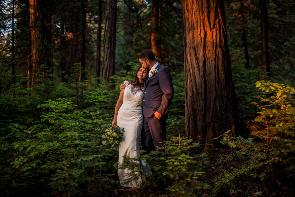 Couple standing in the forest in the red glow of sunset