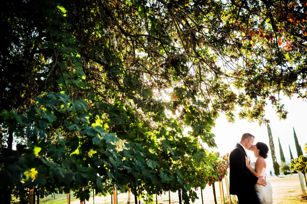 Bride and groom kiss during a portrait in a vineyard after their wedding