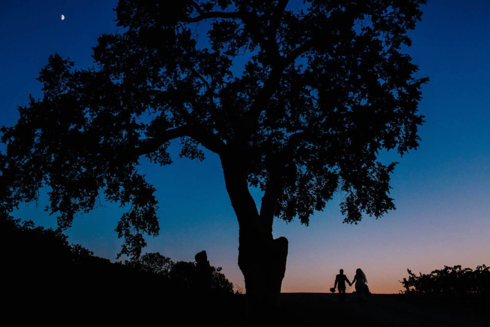 silhouette of a bride and groom walking away underneath a huge oak