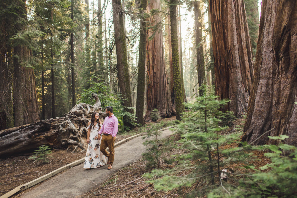 A couple walks down the trail in a redwood grove