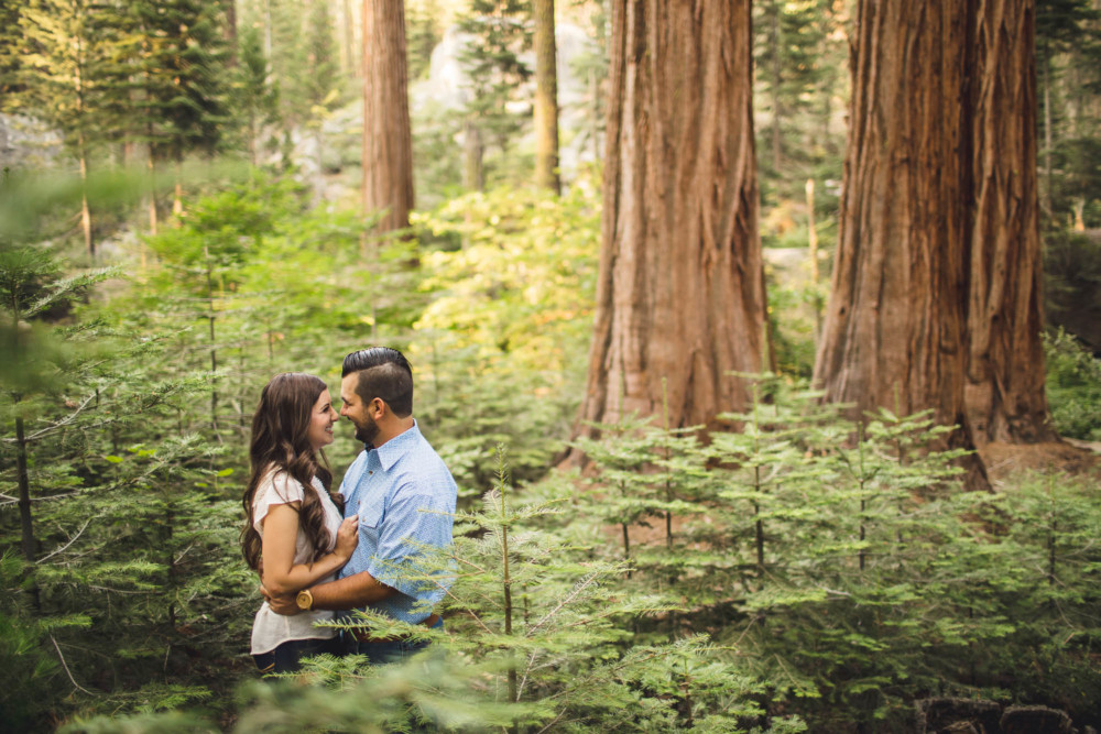 Bride and groom pose for a portrait among tree seedlings