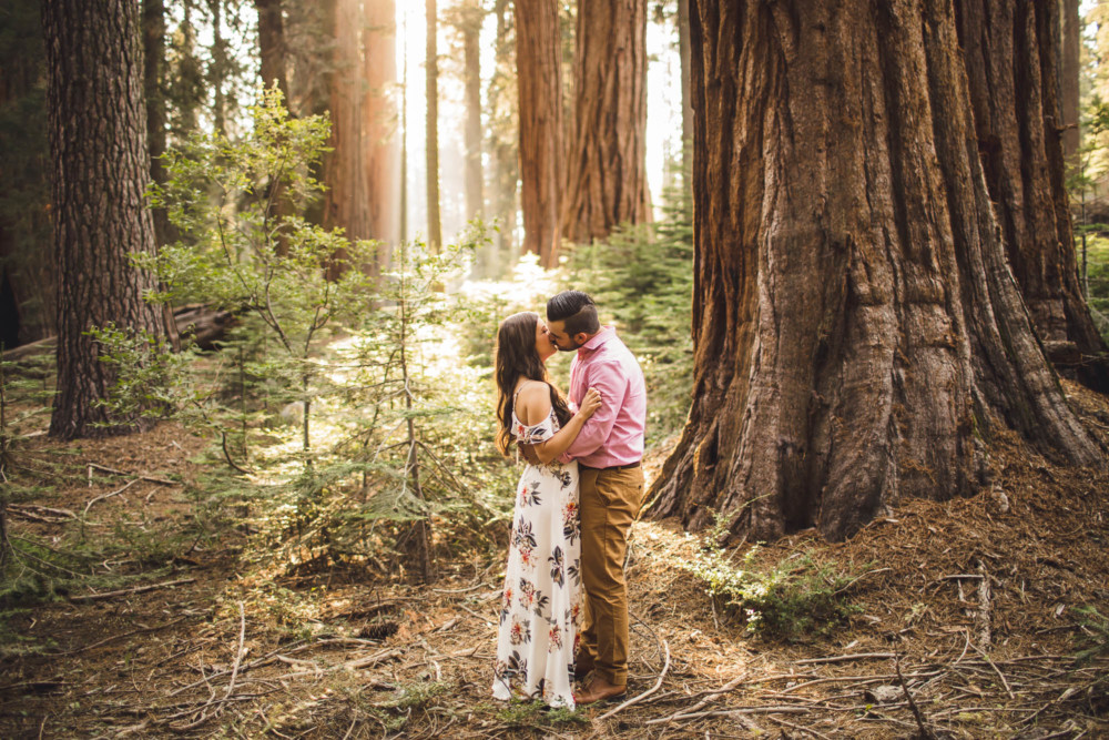 Couple kissing in a portrait among the giant sequoia trees
