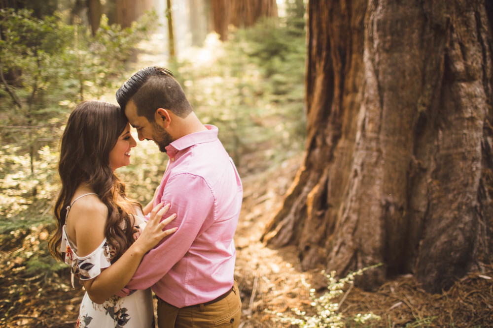 A couple shares a moment among the giant sequoias