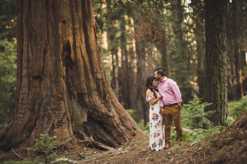 Kisses her forehead among the redwoods