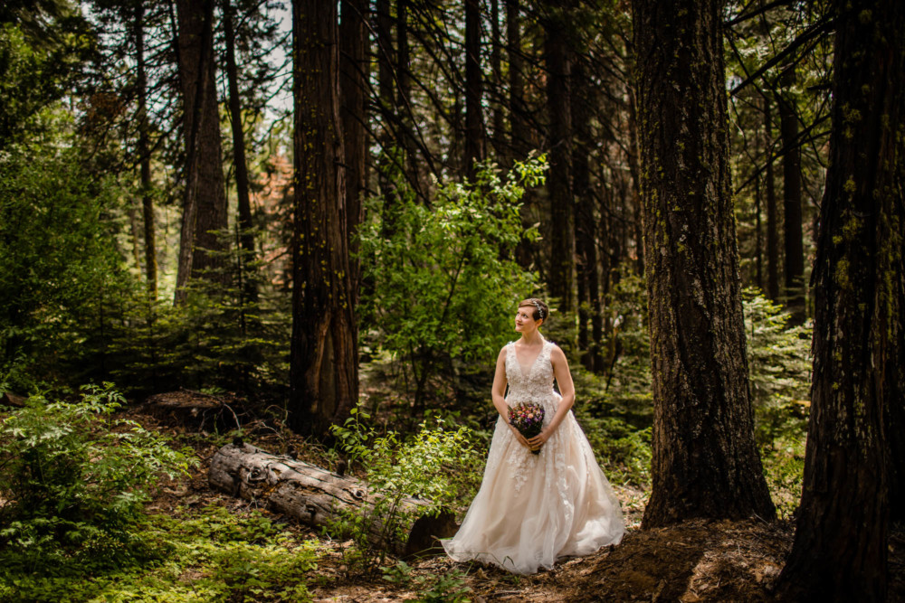 Portrait of a bride in a forest with pine trees towering overhead