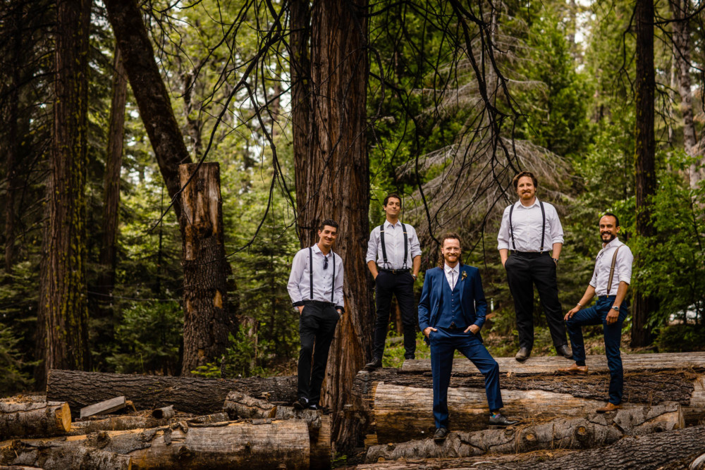 Groom and groomsmen pose for a group portrait on top of a stack of felled trees