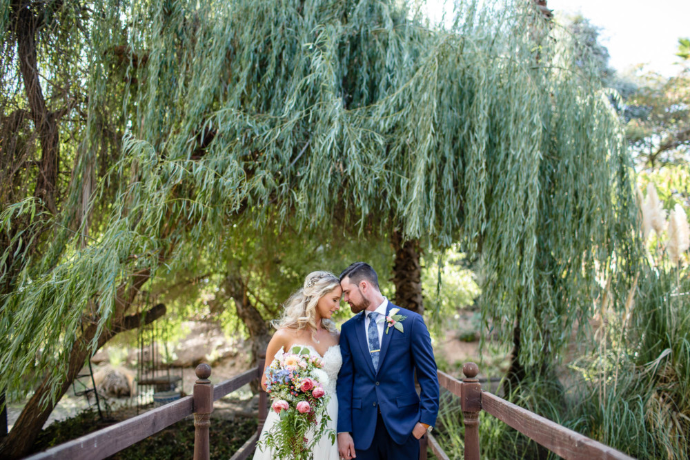 Portrait of a bride and groom in front of a willow tree after their wedding in Fresno, CA