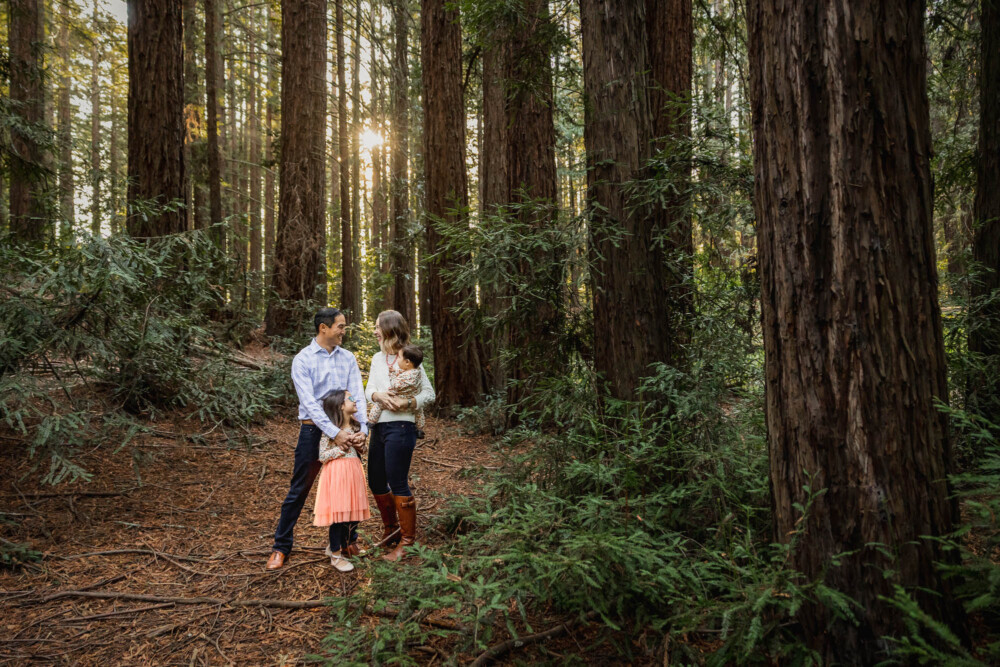 Family portrait in redwood forest