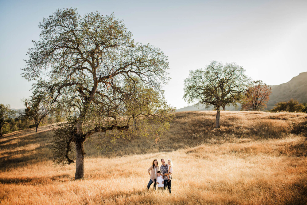 family poses for a portrait among large oak trees on a grassy hillside in the Sierra Foothills