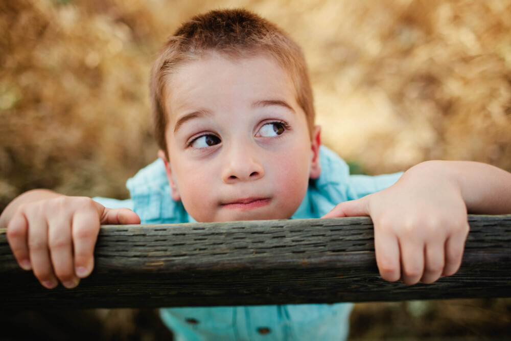Young boy peers over rail with a cute expression during a family portrait session