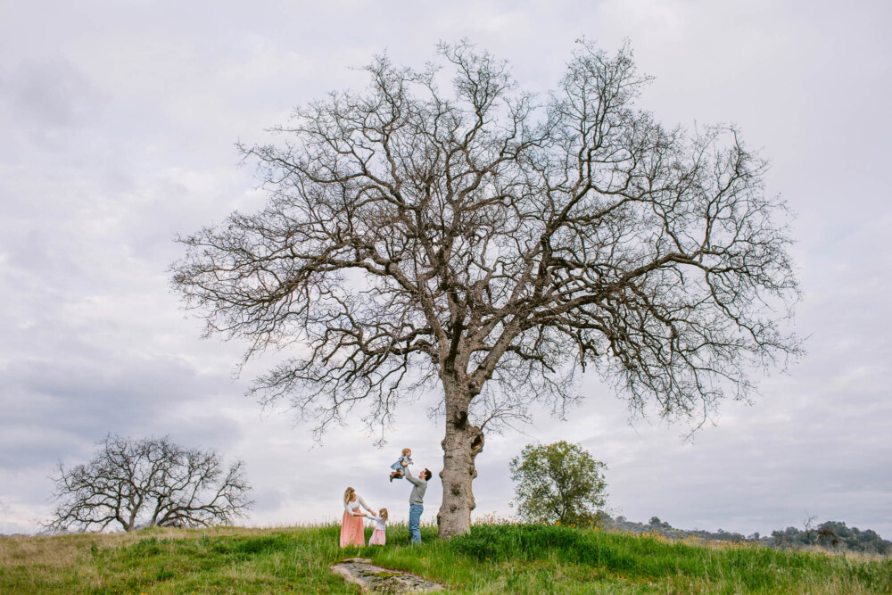 Family of four under a large oak with mom and child dancing and dad tossing the youngest into the air