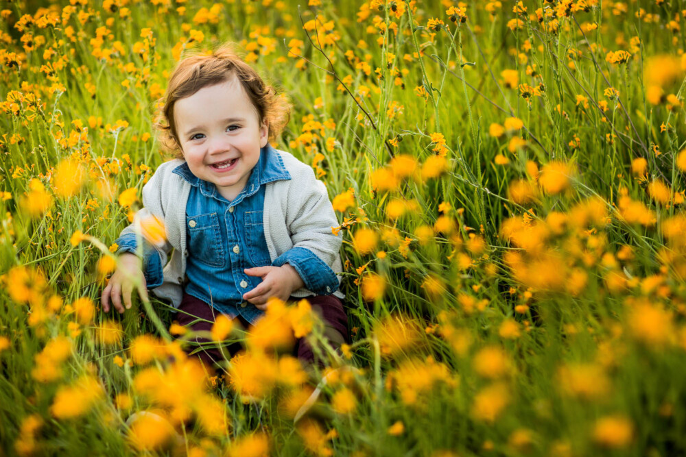 Laughing toddler sits among the green grass and yellow wildflowers on a spring foothill hillside